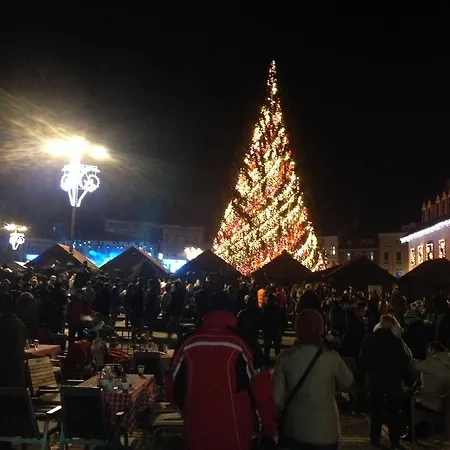 Castelului Brasov