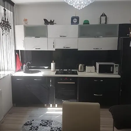 Castelului Apartment *